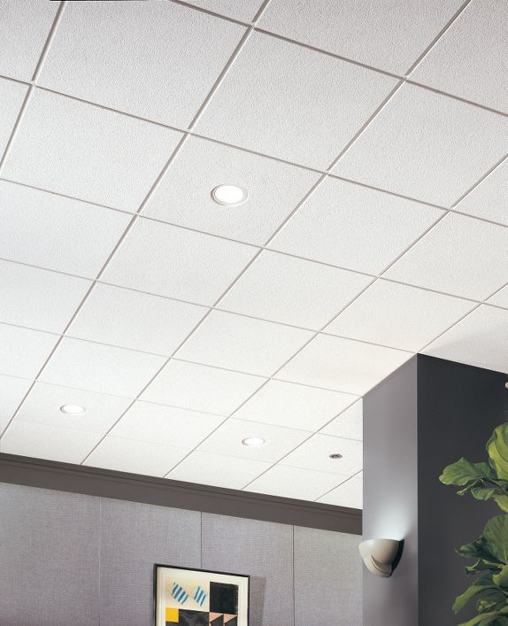 T Grid Ceiling